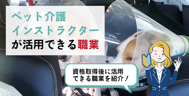 ペット介護インストラクターが活用できる職業