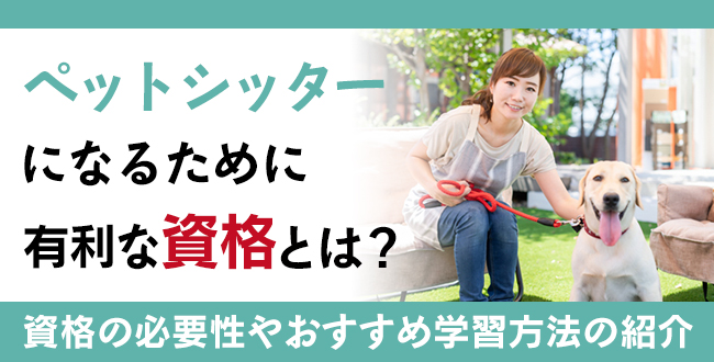 【徹底調査】ペットシッターになるために保有していると有利な資格は何なのか？