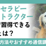 【癒し】ペットセラピーインストラクター資格で習得できる知識とは？資格の取得方法や通信講座も解説