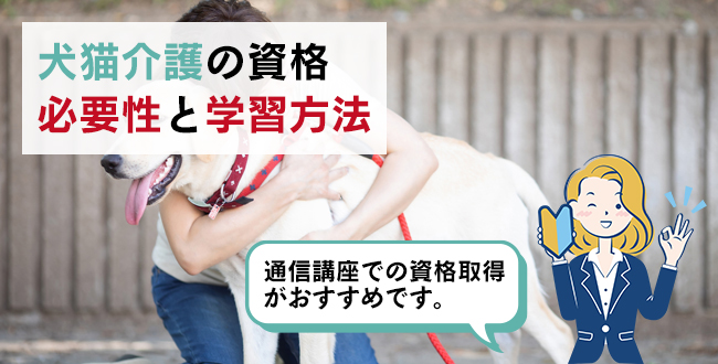 犬猫介護の資格の必要性と学習方法