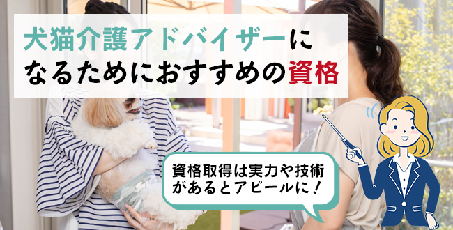 犬猫介護アドバイザーになるためにおすすめの資格