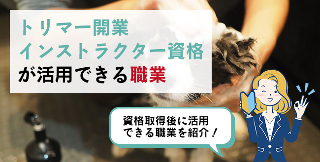 トリマー開業インストラクター資格が活用できる職業