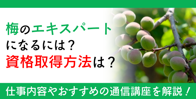 梅資格とは？難易度・取得方法・活躍の場紹介