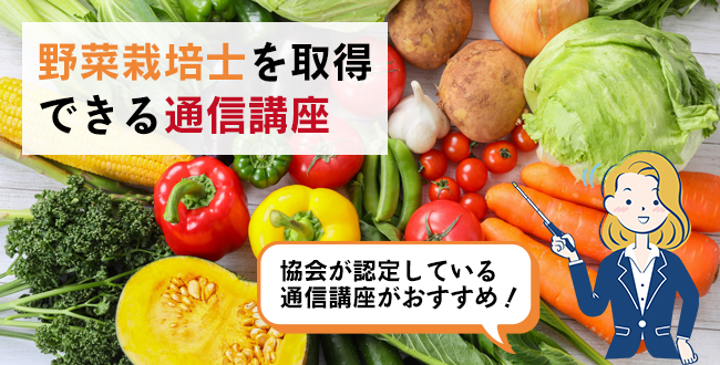 野菜栽培士を取得できる通信講座