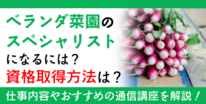 ベランダ菜園資格とは？難易度・取得方法・活躍の場紹介