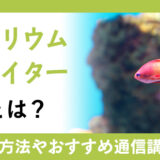 アクアリウムクリエイター資格とは？資格概要と仕事、取得に向けた通信講座まとめ