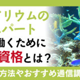 アクアリウムのエキスパートとして働くために必要な資格とは？資格内容とおすすめ通信講座を紹介！