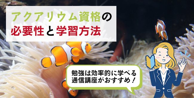 アクアリウム資格の必要性と学習方法