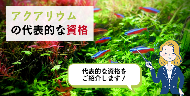 アクアリウムの代表的な資格