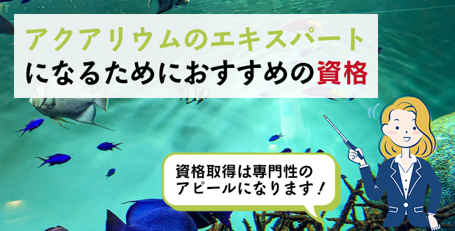 アクアリウムのエキスパートになるためにおすすめの資格