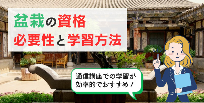 盆栽の資格　必要性と学習方法