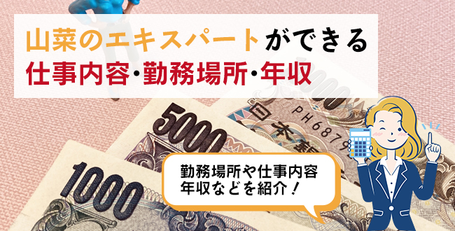 出汁のスペシャリストの仕事内容・主な勤務場所・年収