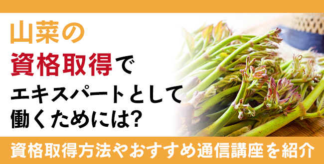 山菜資格とは？難易度・取得方法・活躍の場紹介