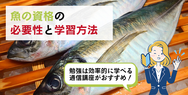 魚の資格の必要性と学習方法