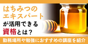 蜂蜜はちみつ資格人気の資格徹底比較？勉強におすすめの通信講座を紹介