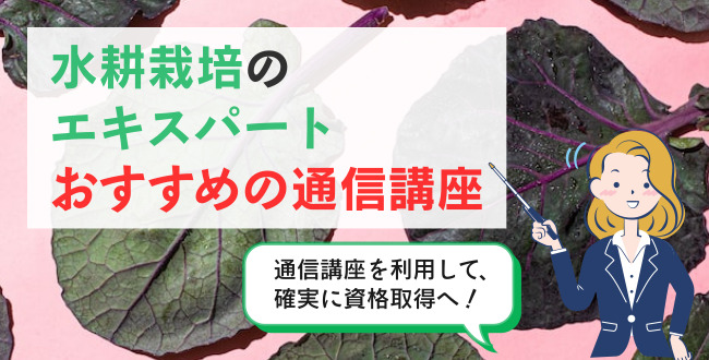 水耕栽培のエキスパートおすすめの通信講座