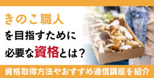 きのこ資格とは？難易度・取得方法・活躍の場紹介