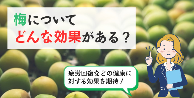 梅について　どんな効果がある？