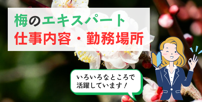 梅のエキスパート仕事内容・勤務場所