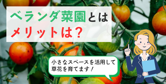 ベランダ菜園とはメリットは？