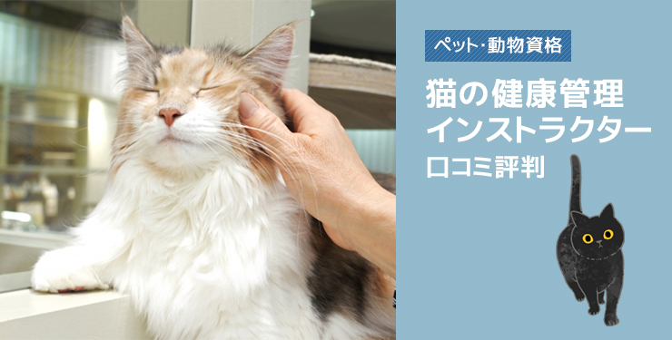 猫の健康管理インストラクター口コミ評判