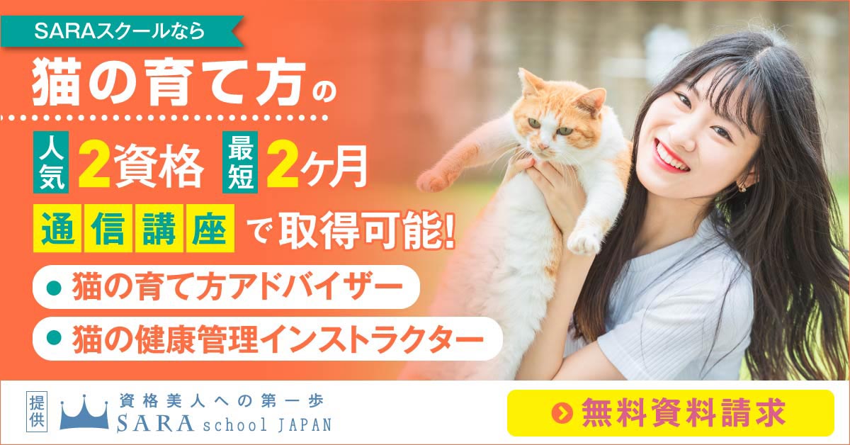 猫の育て方